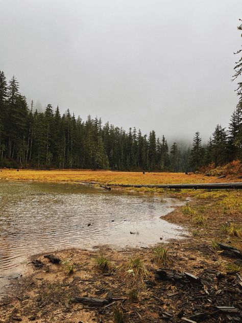 Outdoorsy Girl, Dark Nature Aesthetic, Nature Aesthetic, Watercolor Inspiration, My Happy Place, Happy Places, Mood Board, Landscape Paintings, The Outsiders