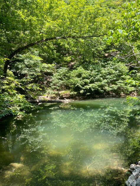 lake, aesthetic pond, green, green aesthetic, aesthetic pond, forest, trees Pond Surrounded By Trees, Green Aesthetic Nature Pics, Forest Pool Aesthetic, Forest Pond Aesthetic, Peaceful Lake Aesthetic, Pond In The Woods, Lush Forest Aesthetic, Forest Clearing Aesthetic, Green Pond Aesthetic