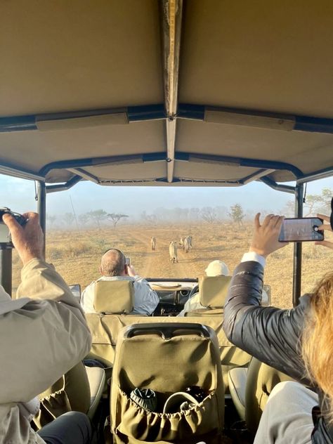 A safari game drive Africa Vacation, South Africa Safari, Safari Vacation, Africa Wildlife, Tanzania Safari, Africa Do Sul, Africa Safari, Safari Tour, Kruger National Park