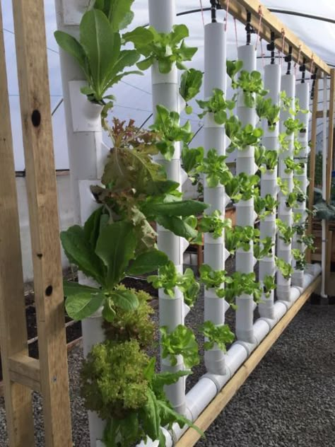 Two 5ft Vertical Garden Towers Kit 18-36 plants - Hydroponic / Aquaponics | eBay Diy Aquaponics Fish Tank, Plants Hydroponic, Vertical Hydroponics, Diy Aquaponics, Vertical Farm, Aquaponics Fish, Aquaponics Diy, Hydroponic Garden, Vertical Garden Indoor