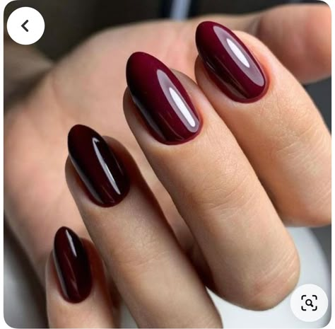 Nail Inspiration Dark Red, Mulberry Nails, Dark Burgundy Nails, Burgundy Nail Ideas, Burgundy Fall Nails, Nails Dark Red, Short Classy Nails, Deep Red Nails, Dark Red Nails