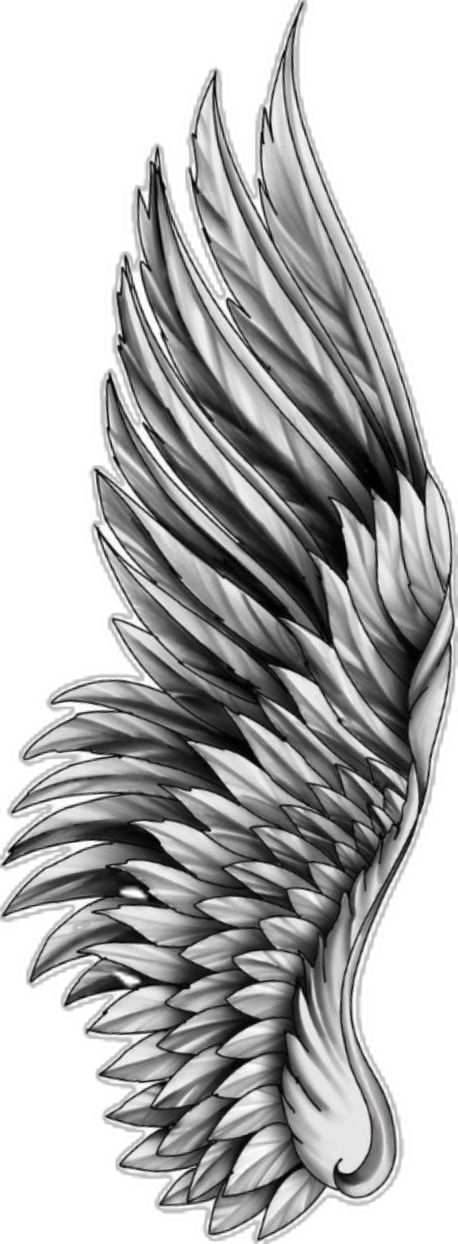 Men Wing Tattoo, Angel Wing Drawing Tattoo, Back Wing Tattoo, Angel Wings Tattoo Stencil, Tattoo Designs Angel, Wing Tattoos On Back, Wing Tattoo Men, Angel Wings Drawing, Tattoos On Back