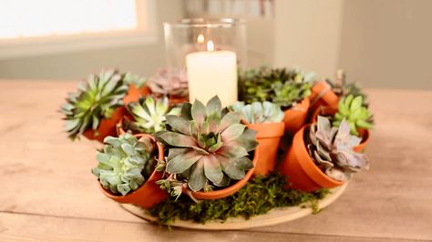 For a twist on our succulent pumpkin centerpiece, try skipping the pumpkin altogether and showcasing your succulents in this gorgeous wreath formed by bundling gardening pots./ Succulent Centerpiece, Succulent Pumpkin, Fancy Dinner Party, Succulent Wall Art, Succulent Centerpieces, Succulent Wreath, Simple Centerpieces, Succulent Wall, Pumpkin Centerpieces