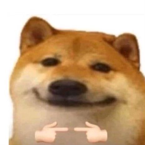 Cursed Animals, Dog Template, Doge Meme, Funny Words To Say, Dog Icon, Cute Little Kittens, Work Memes, Silly Animals, Funny Reaction Pictures