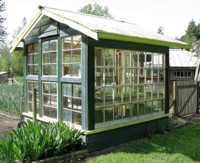 Greenhouse from old windows - there's a great example of this at University of Alberta's community garden Old Window Greenhouse, Beautiful Greenhouse, Old Window Panes, Window Greenhouse, Repurposed Windows, Diy Greenhouse Plans, Corrugated Tin, Greenhouse Shed, Build A Greenhouse