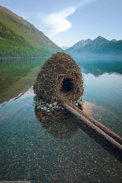 Soyut Sanat Tabloları, Earth Art, Alam Yang Indah, Bird Nest, Environmental Art, Land Art, Amazing Nature, Nature Beauty, Beautiful World