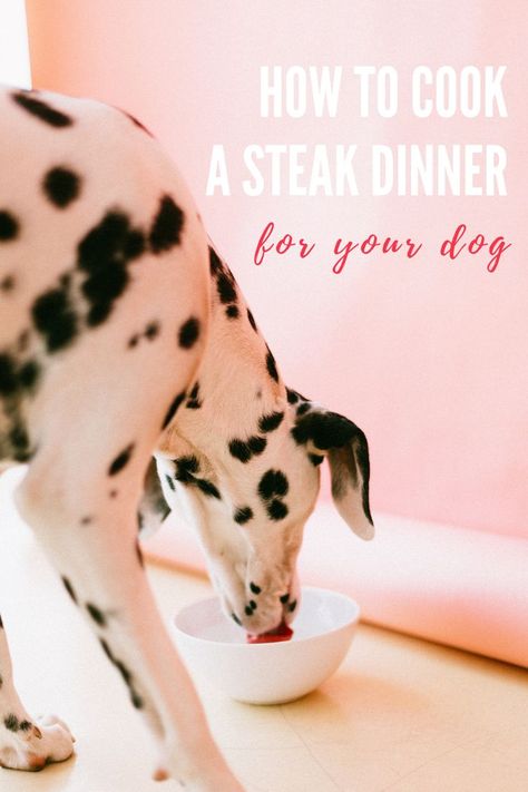 How To Cook a Steak Dinner For Your Dog - Dog Friendly San Antonio Special Birthday Dinner, Birthday Dinner Menu, Skillet Steak, Living With Dogs, Seared Steak, Dog Nutrition, Do's And Don'ts, Steak Dinner, Can Dogs Eat