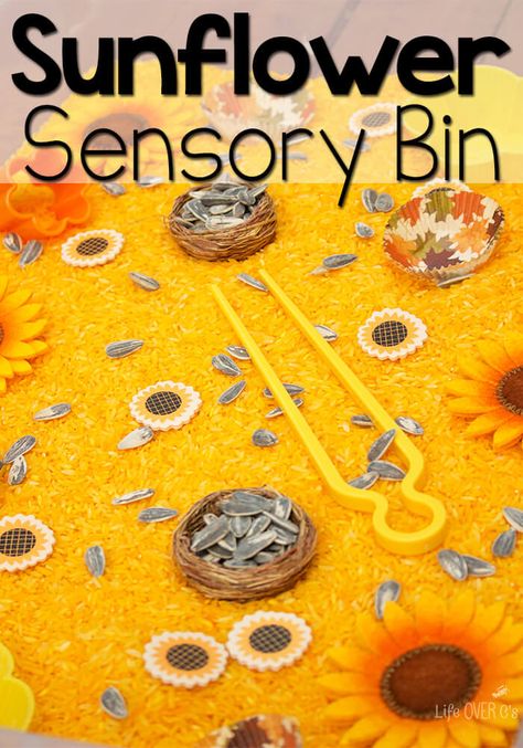 This sunflower sensory bin is a perfect way to work on fine-motor skills while exploring the beautiful yellows of fall! Sunflower Fine Motor Activities, Preschool Sunflower Theme, Sunflower Theme Preschool, Sunflower Activities For Kids, Sunflower Preschool Crafts, Sunflower Craft Preschool, Sunflower Activities For Preschool, Yellow Sensory Bin, Sunflowers Preschool