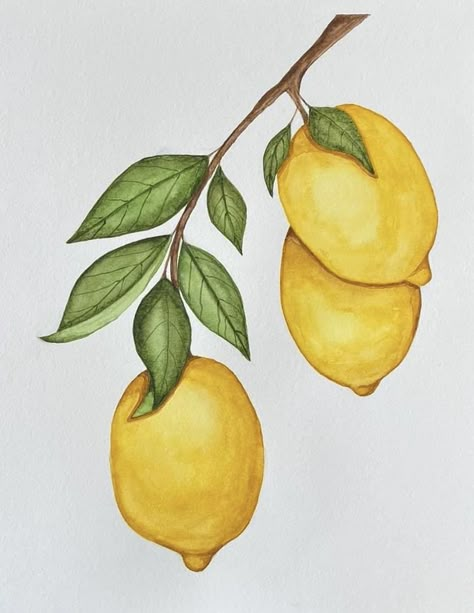 Lemon Tree Drawing Simple, How To Draw A Lemon Tree, Drawings Of Lemons, Fruits Drawing Watercolor, Lemon Art Drawing, How To Draw Lemons, Lemon Tree Painting Easy, Watercolor Lemon Paintings, Lemon Pencil Drawing