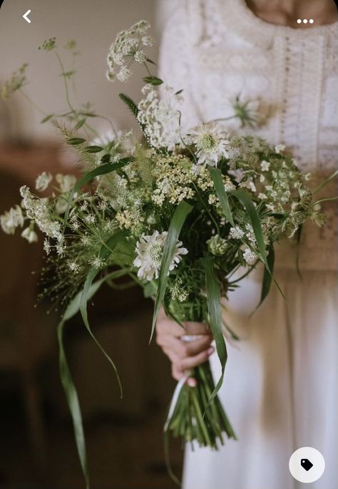 Elegant Wildflower Bouquet, Queen Annes Lace Bouquet, Wildflower Bridal Bouquets, Lace Bouquet, Bouquet Champetre, Bouquet Inspiration, Wildflower Bouquet, Bouquet Arrangements, Wildflower Wedding