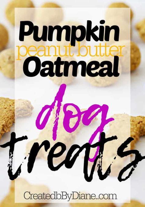 Pumpkin Dog Biscuits Recipes, Dog Cookies Recipe Pumpkin, Dog Treat Cookie Recipe, Oatmeal Dog Treats, Dog Treats Homemade Pumpkin, Pumpkin Dog Biscuits, Banana Dog Treat Recipe, Gluten Free Dog Treats, Dog Cookie Recipes