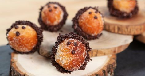 What's better than doughnut holes? Delicious, cute-as-a-button hedgehog doughnut holes! This treat is not only Instagram-worthy, it's also incredibly easy to Hedgehog Cake, Champagne Cupcakes, Doughnut Holes, Popsugar Food, Biscuit Dough, Donut Holes, Oreo Pops, Rainbow Food, Doughnut Recipe