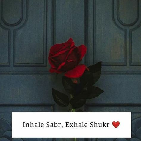 #sabar #shukar #patience Shukar Sabr Quotes, Sabar Shukar Wallpaper, Sabar Shukar Quotes, Sabar Dp Pic, Inhale Sabr Exhale Shukr, Sabar Shukar, Reminder Islam, Islamic Lines, Sabar Quotes