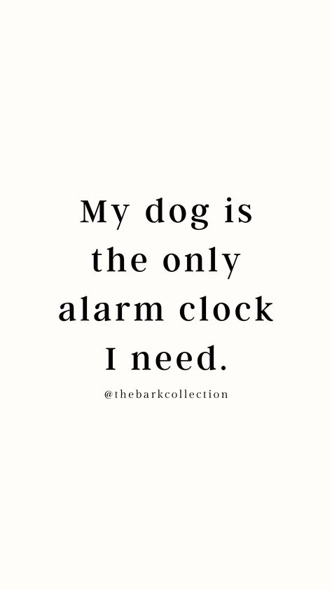 Funny Dog Owner Quotes, Advocate Quotes, Quote Of The Month, Life With A Dog, Pets Quotes, Funny Dog Quotes, Best Motto, Dogs Are The Best, Cute Dog Quotes