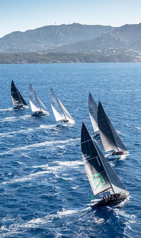 The Rolex Farr 40 World Championship. Sailboat Photography, Yacht Aesthetic, Sailing Photography, Best Yachts, Sailing Regatta, Classic Sailing, Sailing Yachts, Sail Racing, Sailing Vessel