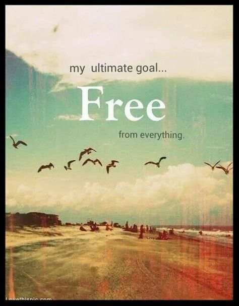 Free from everything. Life Quotes Love, Free Spirit, Beautiful Words, Namaste, Inspirational Words, The Sky, Quotes To Live By, Words Of Wisdom, We Heart It