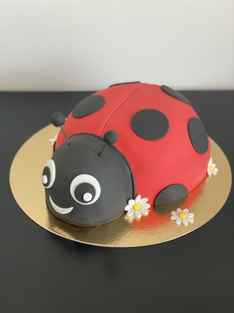 Ladybug Themed Cake, Ladybird Birthday Cake, Ladybug Cake Ideas, Ladybug Birthday Theme, Ladybug Birthday Cake, Ladybird Cake, Ladybug Cakes, Bug Cake