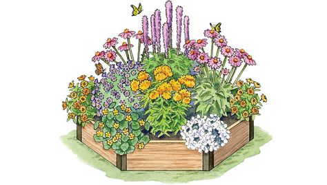 Planters and Raised Beds for Butterflies: Gardener's Supply Pollinator Garden Plans, Pollinator Garden Design, Attracting Hummingbirds, Perennial Garden Plans, Butterfly Garden Design, Garden Plan, Planting Plan, Hummingbird Garden, Pollinator Garden