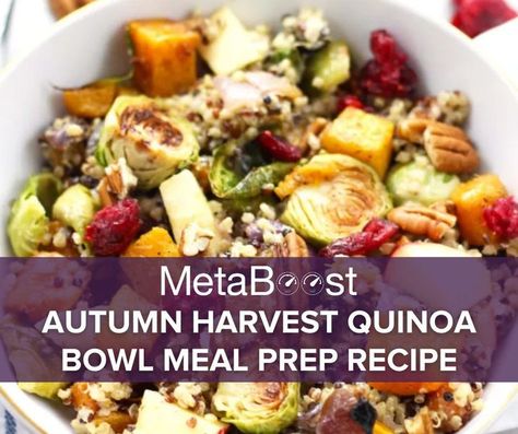 Meredith Shirk & Svelte Training Meredith Shirk Svelte Recipes, Meredith Shirk Recipes, Harvest Quinoa Bowl, Svelte Recipes, Maple Syrup Cookies, Svelte Training, Hit Workouts, Bowl Meal Prep, Meredith Shirk