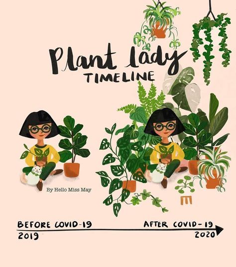 By Hello Miss May on Instagram: “Is this you? Well, for me, I accidentally “found” another plant haha xx @hellomissmay #helloplantlady” Lover Illustration, Plants Funny, Lotus Garden, Plant Puns, Plants Quotes, Best Indoor Plants, Garden Animals, Air Purifying Plants, House Plants Decor