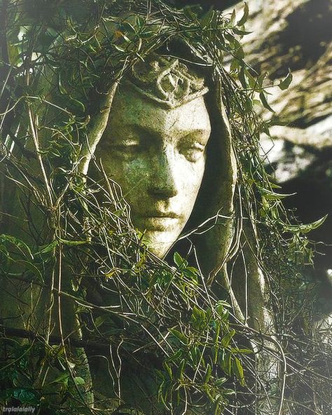 Statue of a face covered with vines John Howe, Thranduil, Drawing Set, Dragon Age, Middle Earth, The Elf, Green Aesthetic, Tolkien, Lord Of The Rings