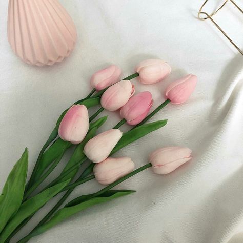 aesthetic aesthetics pink aesthetic cute pastel pink soft color pinky soft pink aesthetic style r o s i e Pink Tulips, Tulips, Pink, White