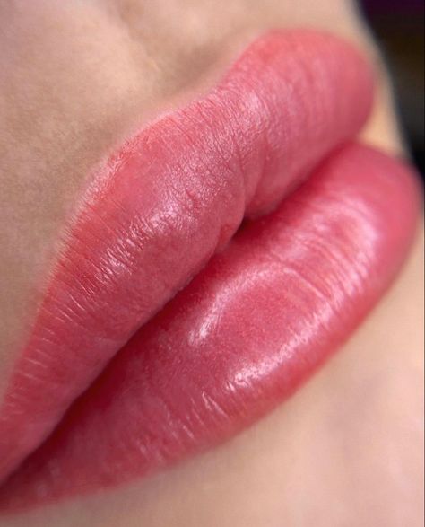 Pmu Lips Permanent Makeup, Lip Pmu, Cosmetic Lip Tattoo, Lips Permanent Makeup, Permanent Makeup Lips, Bb Lips, Layers Of The Skin, Pmu Lips, Lip Permanent Makeup