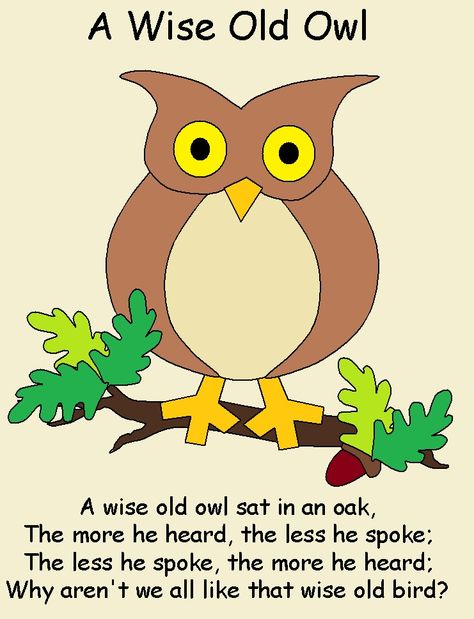 Owl poem Owl Poem, Poetic Phrases, Owl Puppet, Owl Outfit, Wise Old Owl, Thanksgiving Kitchen Towels, Turkey Handprint, Owl Moon, Long Eared Owl