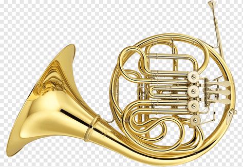 French Horns, French Horn, Gladiator Sandals, Musical Instruments, Musical, Google Search