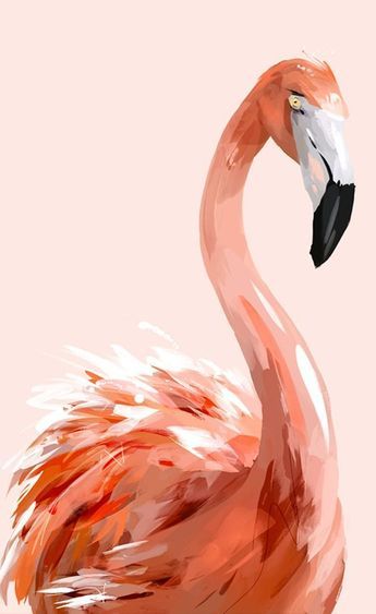 Regnul Animal, Flamingo Painting, Colors Painting, Flamingo Art, Soyut Sanat Tabloları, Painting Rocks, Furniture Painting, Paint Painting, Paint Furniture