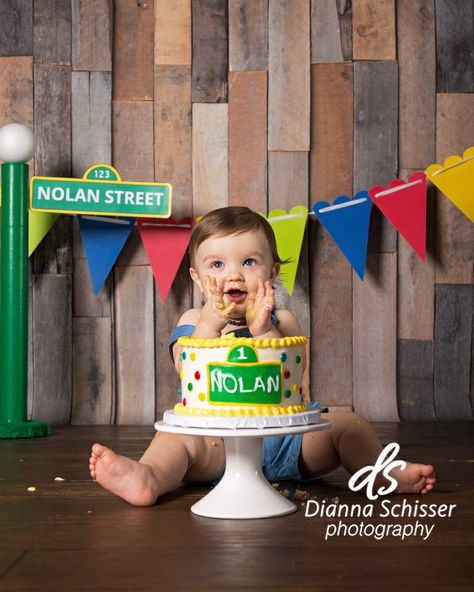 Sesame Street Birthday Photo Shoot, Elmo Photo Shoot Ideas, Sesame Street Photo Shoot, Sesame Street Smash Cake, 1st Birthday Photoshoot Boy, Sesame Street Cake Smash, Elmo Smash Cake, First Birthday Photo Shoot Ideas, Elmo 1st Birthday