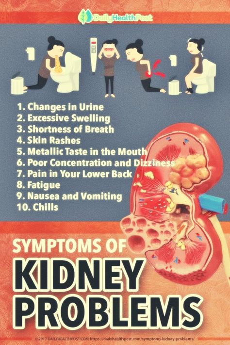 8 Warning Symptoms of Kidney Damage Kidney Symptoms, Kidney Damage, Upper Back Pain, Stomach Problems, Learn Yoga, Withdrawal Symptoms, Workout Chart, Kidney Health, Shortness Of Breath