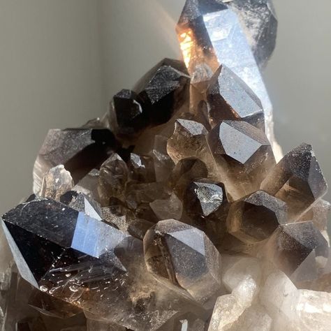 Smokey Quartz Crystal Aesthetic, Brown Crystals Aesthetic, Smoky Quartz Aesthetic, Black Crystals Aesthetic, Butterfly Museum, Aesthetic Crystals, Crystals Aesthetic, Brown Crystals, Quarts Crystal