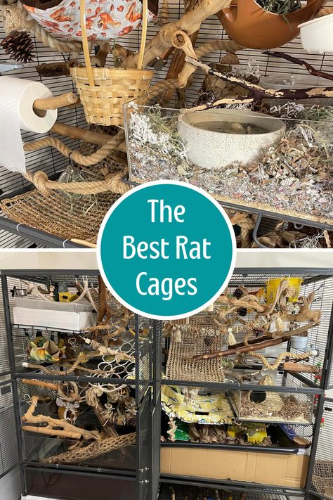 Rat Cage Ideas Diy How To Make, Cool Rat Cages, Pet Rat Cages Aesthetic, Pet Rat Cage Setup, Pet Rat Enclosures, Fancy Rat Cage, Rat Cage Inspiration, Rat Cages Ideas, Rat Cage Setup Ideas