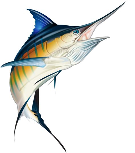 Blue Marlin, Private Collection of Coastal Properties International, Graphics Tablet Marlin Fish, Marlin Fish Tattoo, Marlin Drawing, Blue Marlin Drawing, Blue Marlin Logo Design, Blue Marlin Fish, Trout Fishing Gear, Pesca In Mare, Ikan Air Tawar