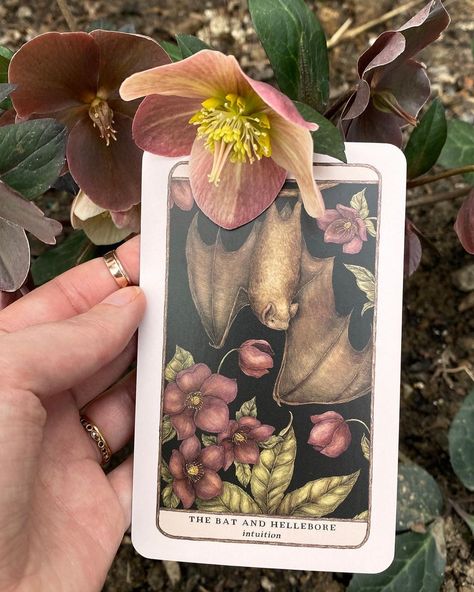 Woodland Wardens, Flora And Fauna Drawing, Living Fossil, Oracle Deck, Oracle Decks, In Full Bloom, Flora And Fauna, Freelance Illustrator, Wow Products