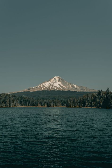 Beautiful landscape with lake, forest and mountain Trillium Lake, Video Nature, Mountain Wallpaper, Night Scenery, Free For Commercial Use, World Cities, Download Free Images, Macro Photography, Blue Water