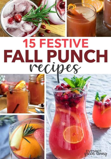 fall punch recipes Fall Juices, Fall Punch Recipes, Healthy Drink Recipes, Fall Punch, Nonalcoholic Drink, Autumn Drinks, Brunch Punch, Fall Drink Recipes, Alcoholic Punch Recipes