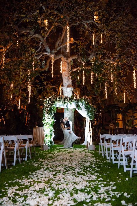 Night Time Ceremony, Wedding Ceremony Castle, Night Time Wedding Ceremony, Castle Wedding Ceremony, Alien Wedding, Wedding Ideas Budget, Mythical Wedding, Wedding Aisle Decorations Outdoor, Raven Aesthetic