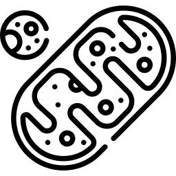 Mitochondria Drawing, Character Flat, Red Monochrome, Icon Download, Animated Icons, More Icon, Icon Font, Vector Icons, Book Design