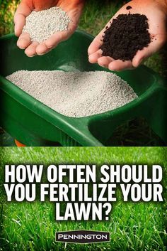 Lawn Fertilizer Diy, Garden Maintenance Schedule, Lawn Repair, Lawn Care Schedule, Lawn Care Business, Growing Grass, Lawn Fertilizer, Aerate Lawn, Diy Lawn