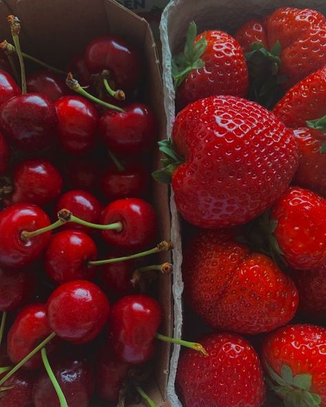 Serena Proietti 🍝 on Instagram: “Seasonal 🍒🍓” Fruits Summer, Cherry Season, Strawberry Desserts, Healthy Girl, Red Fruit, Fruit And Veg, Summer Fruit, Pretty Food, Cute Food