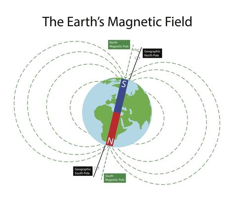 Seafloor Spreading, Brain Imaging, Magnetic Compass, Earth's Magnetic Field, Plate Tectonics, True North, Magnetic Field, Human Brain, Home Learning