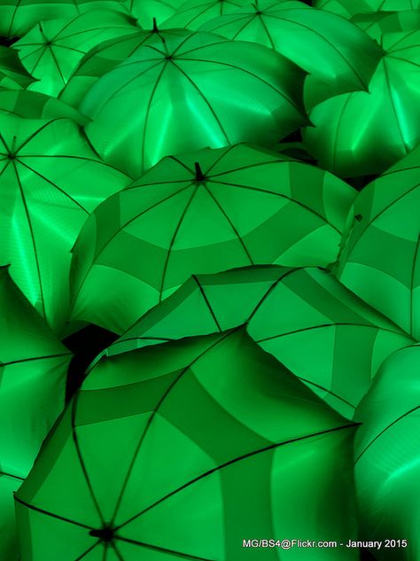 Green Umbrellas - Bridging the Gap | The Create Centre | by Myk Prime Colors, Green Inspiration, Simple Green, Aesthetic Colors, Green Wallpaper, Green Day, World Of Color, Color Of Life, Green Aesthetic