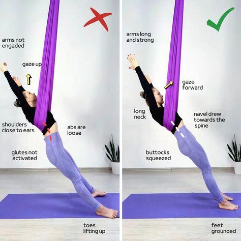 Yoga Hammock Poses, Aerial Workout, Aerial Conditioning, Aerial Pilates, Proper Plank, Yoga Rope, Anti Gravity Yoga, Flying Yoga, Yoga Trapeze