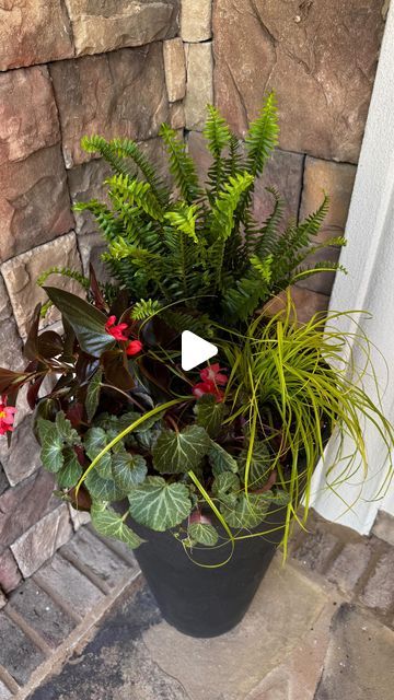 M A T T 🌷 R A M O S on Instagram: "LET POT UP A SHADE CONTAINER, comment PLANTS for this combo! ✨🌿 ⁣
⁣
Created these gorgeous shade planters on our clients front porch for @plantsensation.co! I divide this lovely in one of our last reels if you didn’t catch that! 👏🏼 ⁣
⁣
Reach out via email: Info@plantsensation.co if you need our assistance! ⁣
⁣
#shadecontainer #containergardendesign #plantsensation #monroega #supportsmallbusiness #shadeplants #plantwithme #containerdiy" Container Garden Design, Shade Plants, Front Porch, Porch, Divider, Shades, Let It Be, Plants, Instagram