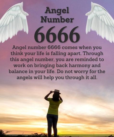 Angel Number 6666 6666 Meaning, 6666 Angel Number, Numerology Life Path, Angel Signs, Twin Flame Relationship, Twin Flame Love, Angel Number Meanings, Angel Guidance, Number Meanings