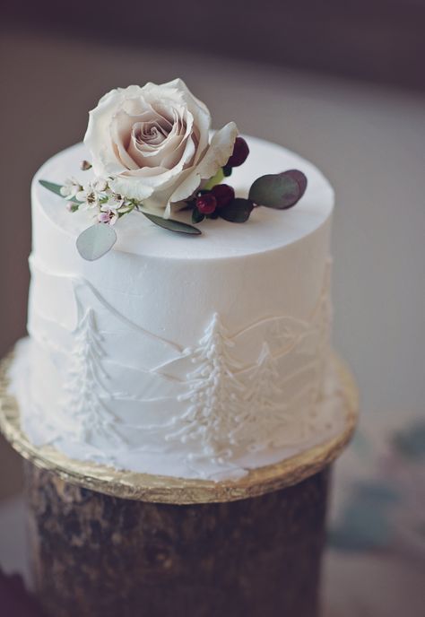 Simple Mountain Wedding Cake, Simple Rustic Wedding Cake, Mountain Theme Wedding, Mountain Wedding Cake, Small Winter Wedding, Simple Rustic Wedding, Mountain Cake, Winter Mountain Wedding, Rainy Summer