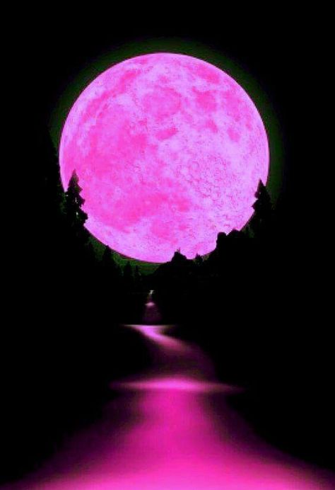 Blacklight Painting, Pink Full Moon, Paw Wallpaper, Pic Edit, Wallpaper 2023, Glitter Phone Wallpaper, Moon Lover, Neon Moon, Emo Aesthetic