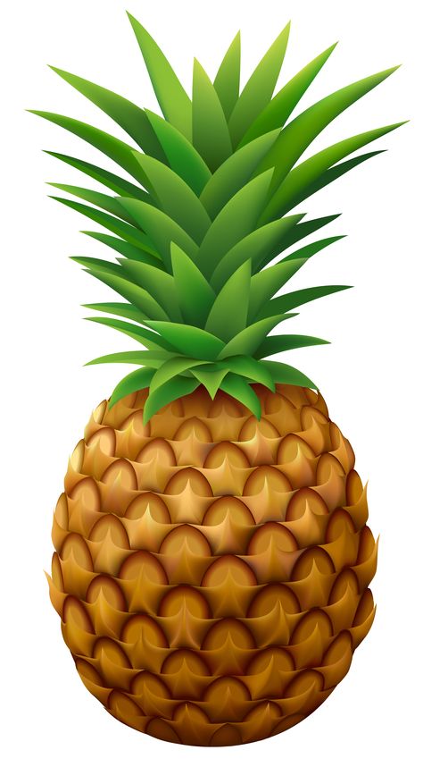 Pineapple Pictures, Pineapple Clipart, Cartoon Pineapple, Vegetable Crafts, Pineapple Vector, Pineapple Wallpaper, Diy Garden Fountains, Fruit Vector, Pineapple Images